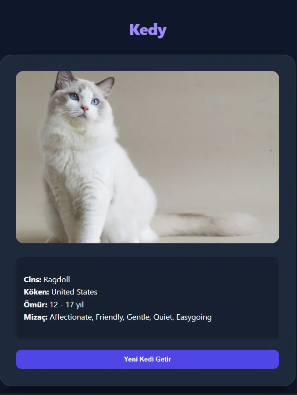 Feline Explorer: Global Cat Database